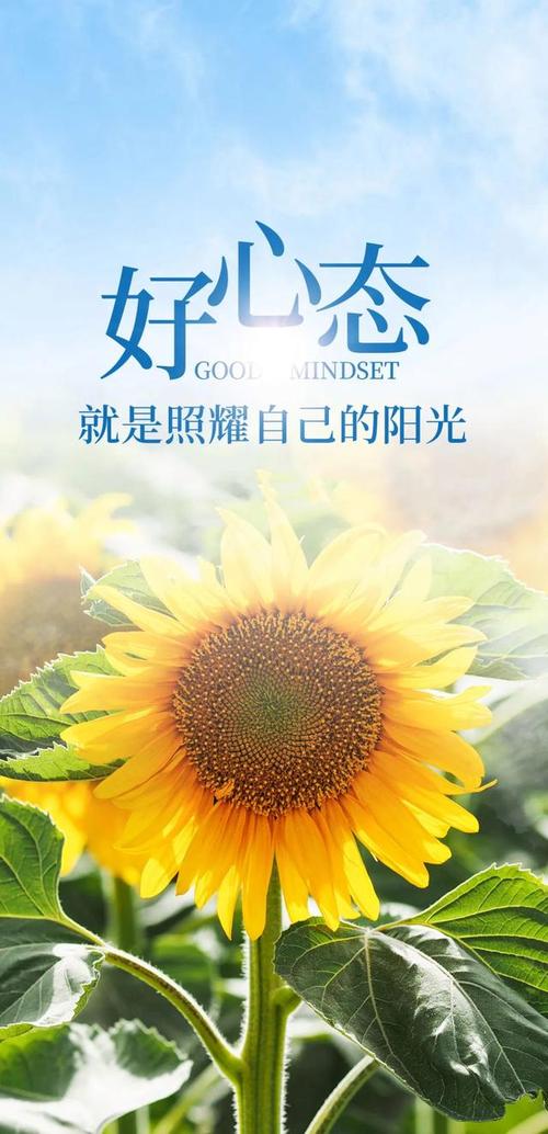 优雅自信的阳光短句，精辟唯美，催人励志  第1张