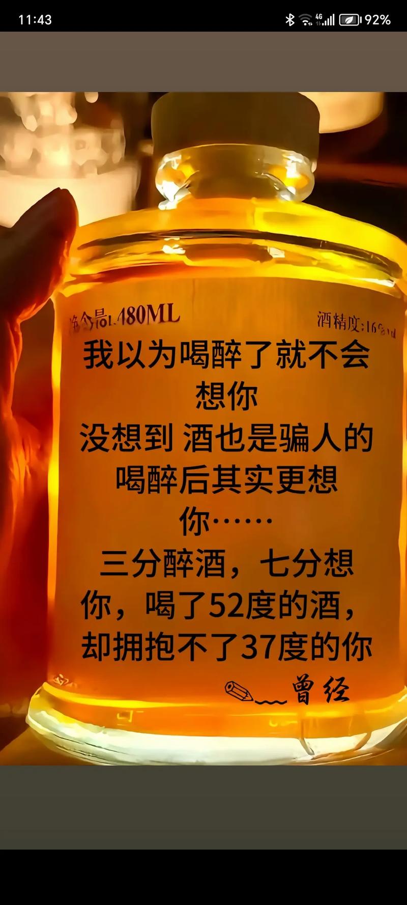 喝酒时发朋友圈的15个句子，我有孤独和酒，你是否愿意一醉方休  第1张