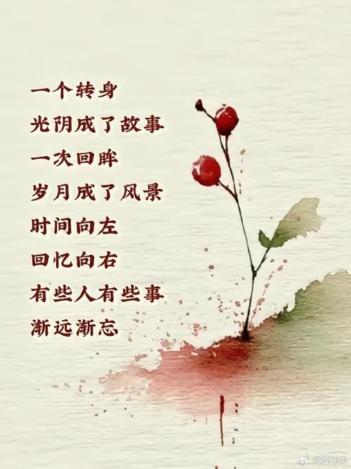 时光匆匆,我还在原地 第1张 时光匆匆,我还在原地 第1张