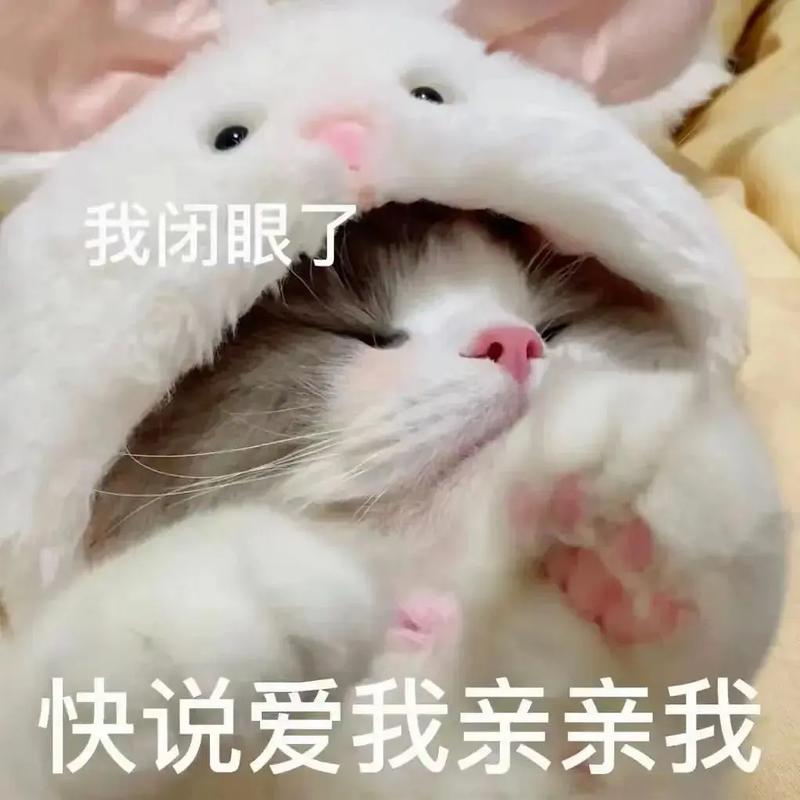 #艾特你想艾特的人 第1张 #艾特你想艾特的人 第1张