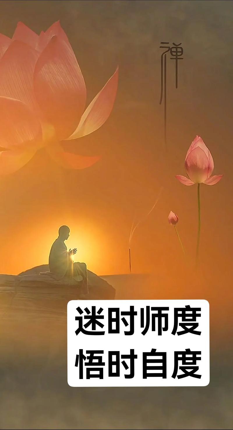 生命的禅悟 第1张 生命的禅悟 第1张
