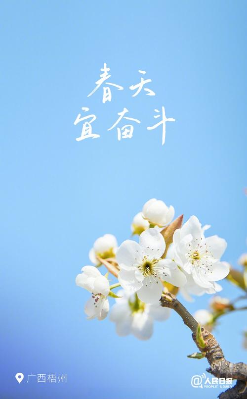 在奋斗的季节里守候花开 第1张 在奋斗的季节里守候花开 第1张