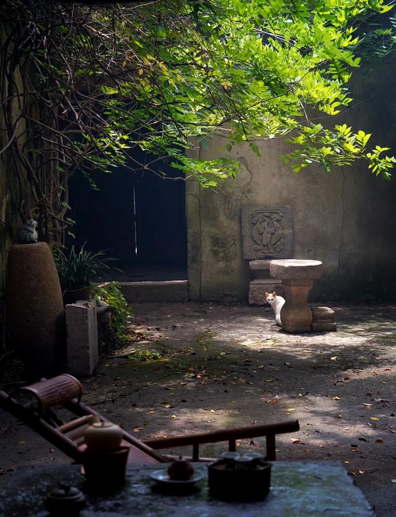 幽居夏季 第1张 幽居夏季 第1张