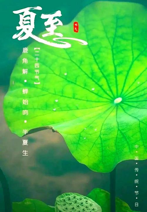 生活：仲夏  第1张