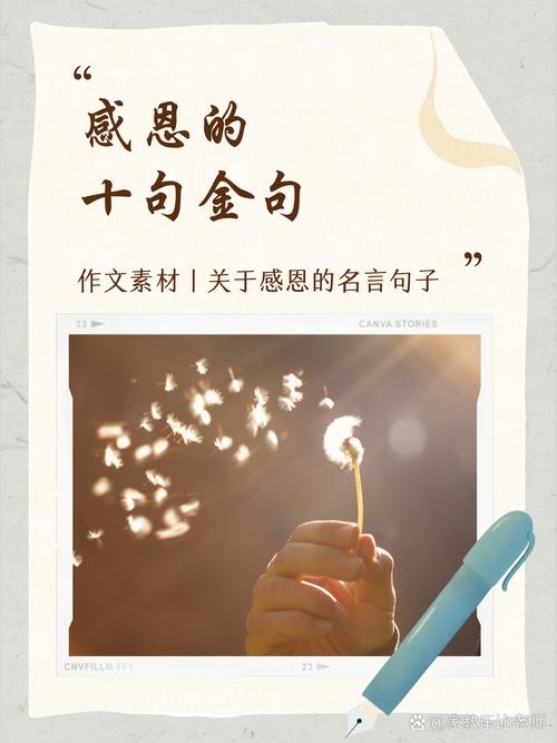 感恩名言名句大全，感恩的名言名句精选集  第1张