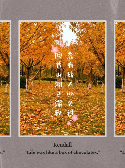 悟语 第1张 悟语 第1张