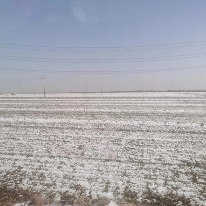 弱雪一场,田地一亩 第1张 弱雪一场,田地一亩 第1张