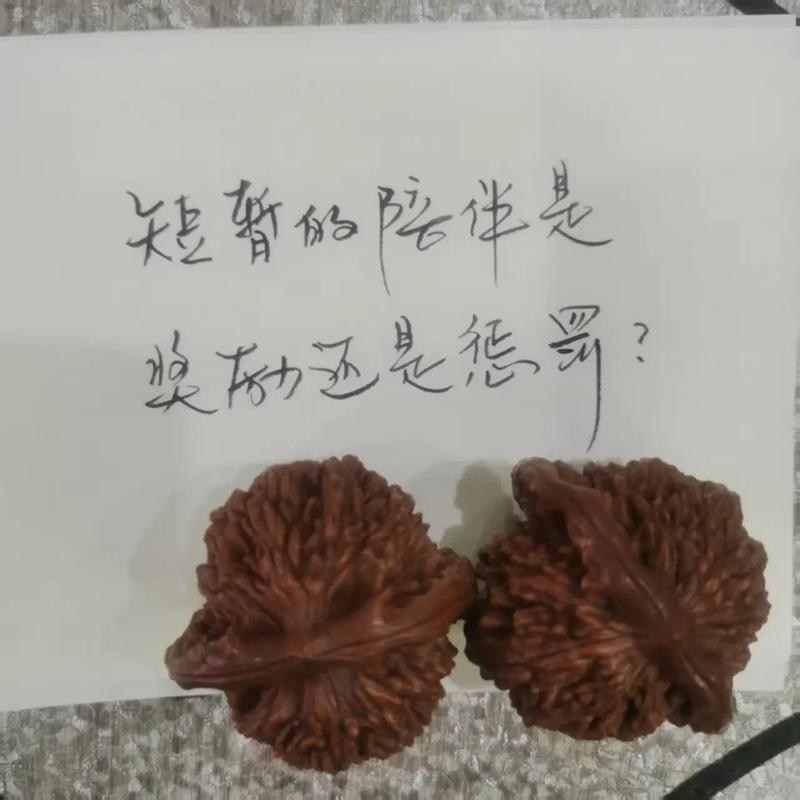 短暂与永远  第1张