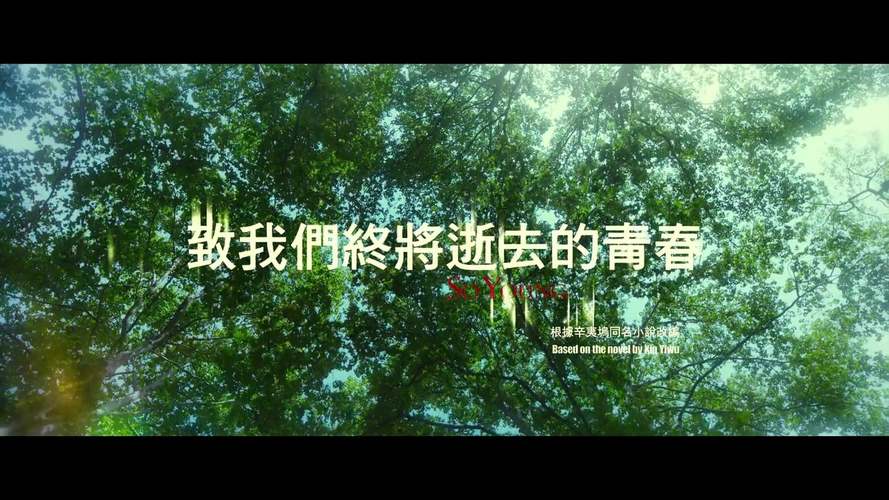 青春终将逝去 第1张 青春终将逝去 第1张