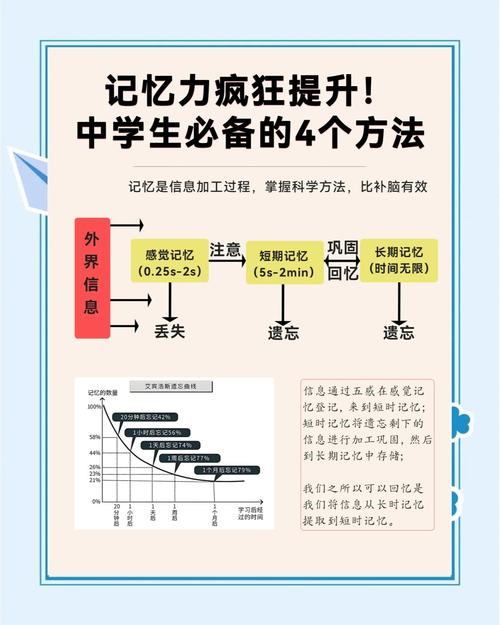 了解记忆真相，用最少时间学习最多的知识？  第1张