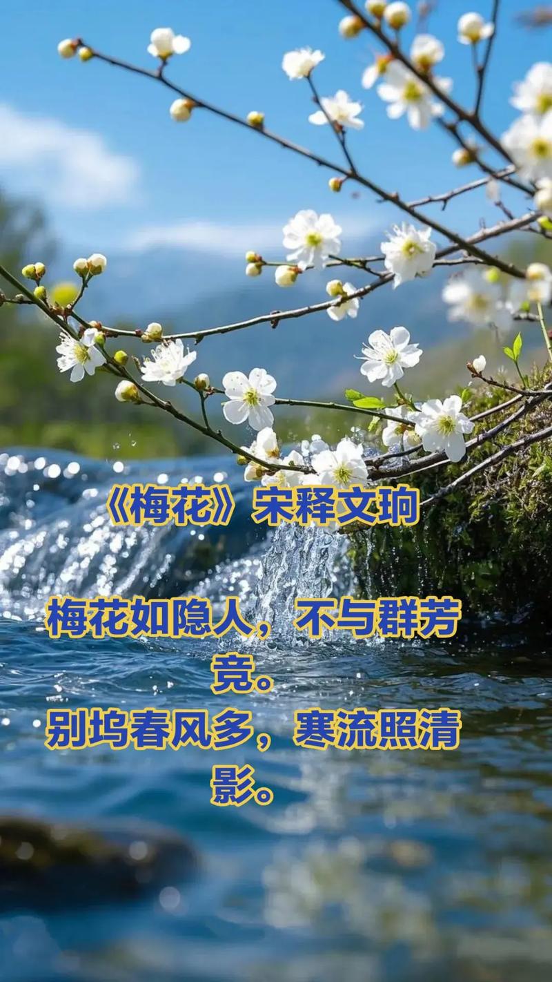 梅花飘飞的念想 第1张 梅花飘飞的念想 第1张
