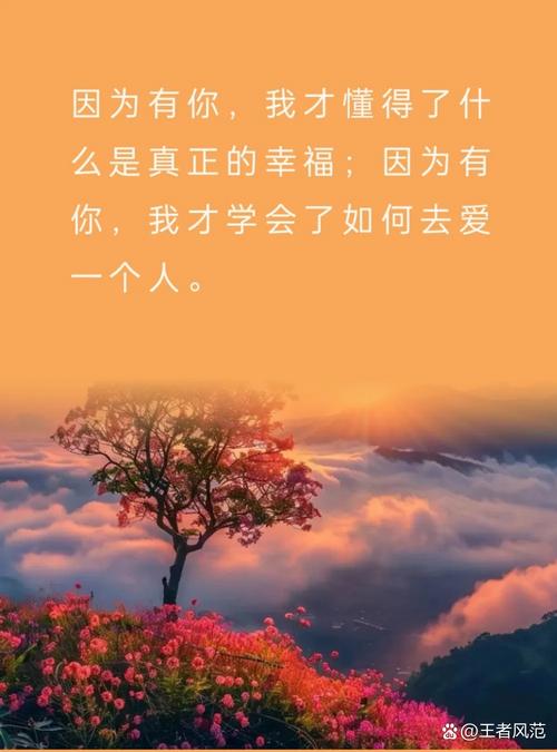 我的心里你曾住过  第1张