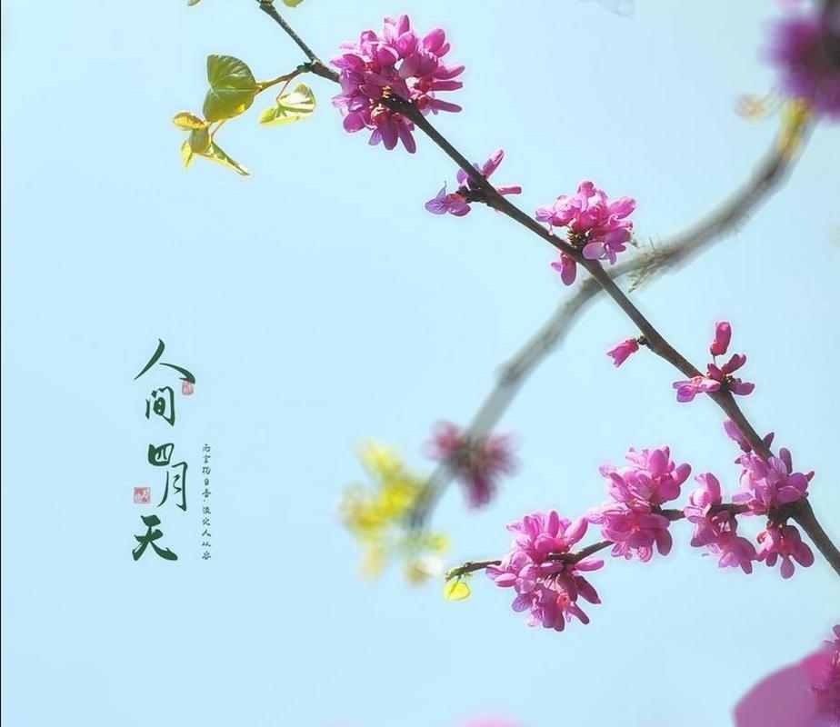 等待四月天  第1张