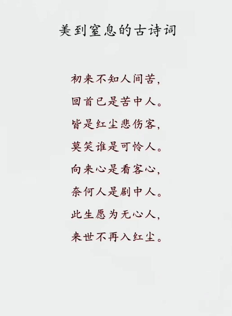人间苦 第1张 人间苦 第1张