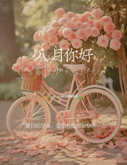 迎接八月，七月再见的精美朋友圈语录句子  第1张