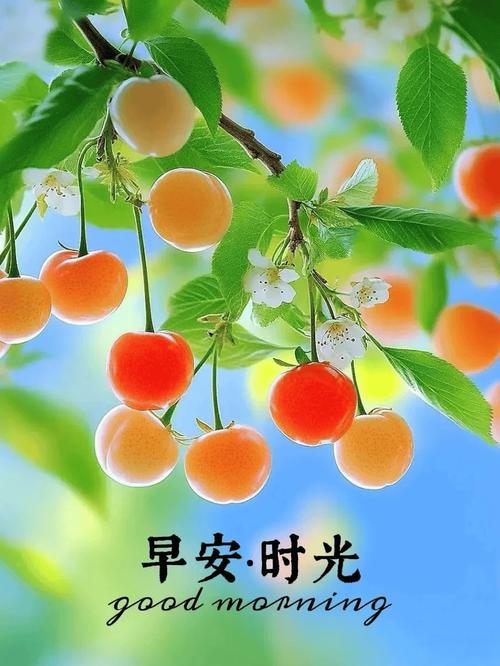 早上好图片大全 最美 漂亮 新版夏天 第1张 早上好图片大全 最美 漂亮 新版夏天 第1张
