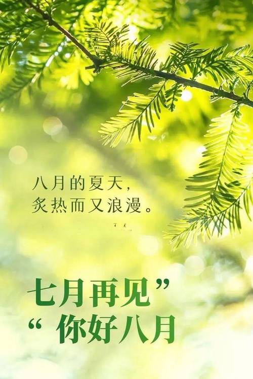 【2023.7.31】周一早安心语|七月再见 八月你好 美好祝福语 第1张 【2023.7.31】周一早安心语|七月再见 八月你好 美好祝福语 第1张