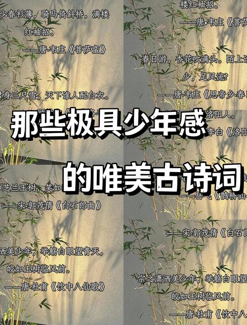 笑妄自年少饮彭觞 第1张 笑妄自年少饮彭觞 第1张