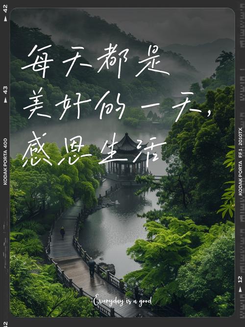 感恩生活  第1张