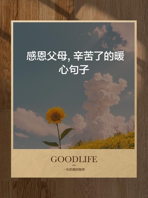 感恩父母最朴实的句子，感恩父母，心怀朴实之情。  第1张
