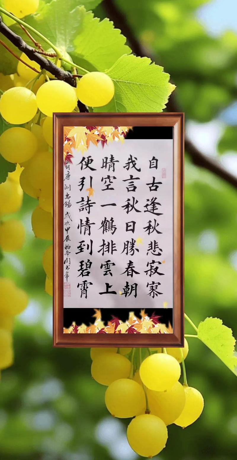 梦遗落在华家池的秋 第1张 梦遗落在华家池的秋 第1张