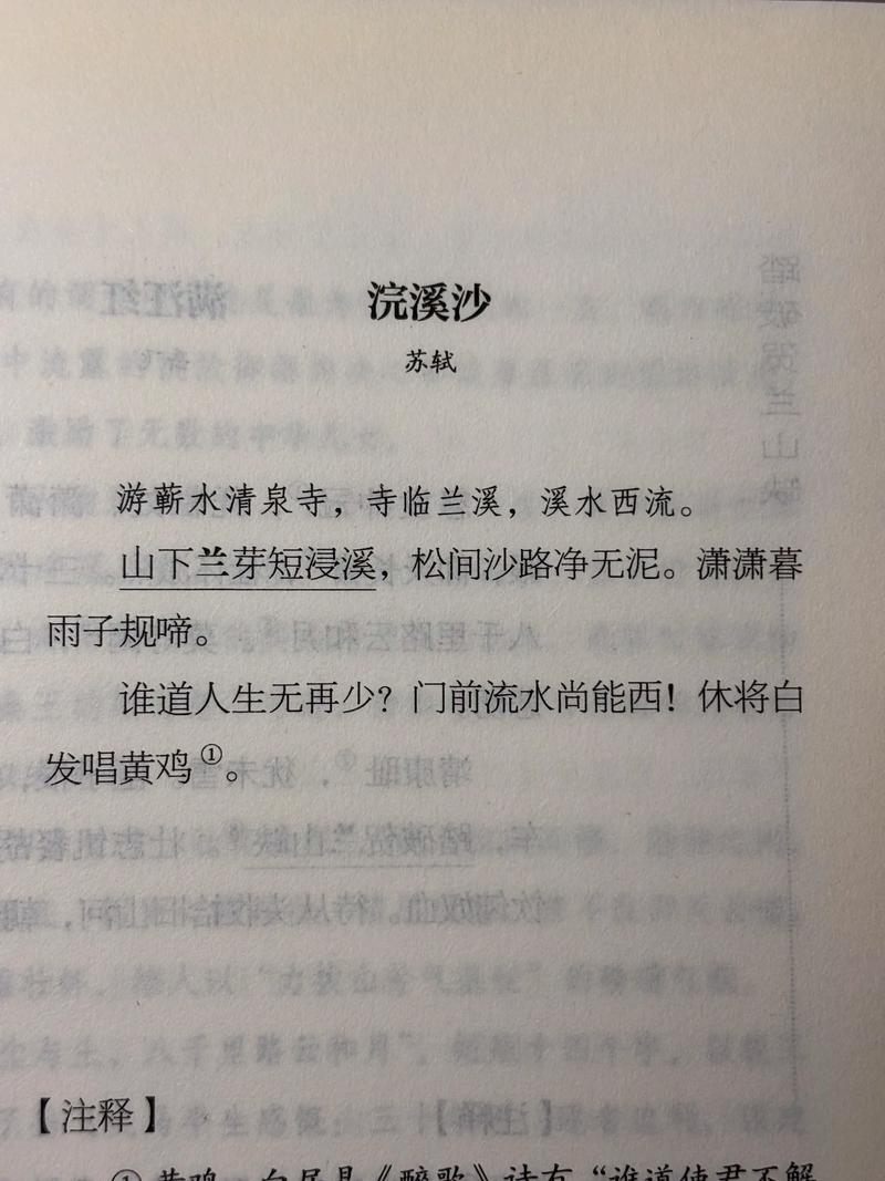 随流沙去  第1张