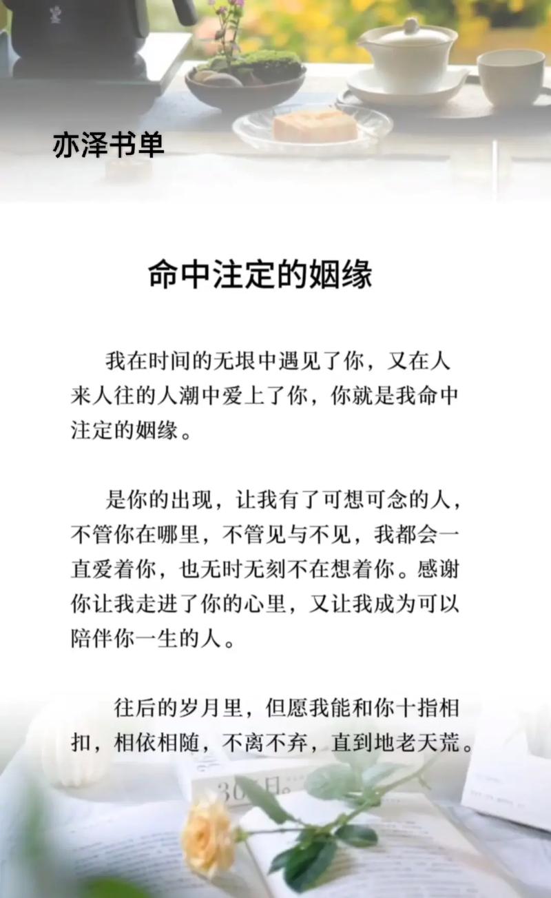 命中注定的缘份 第1张 命中注定的缘份 第1张