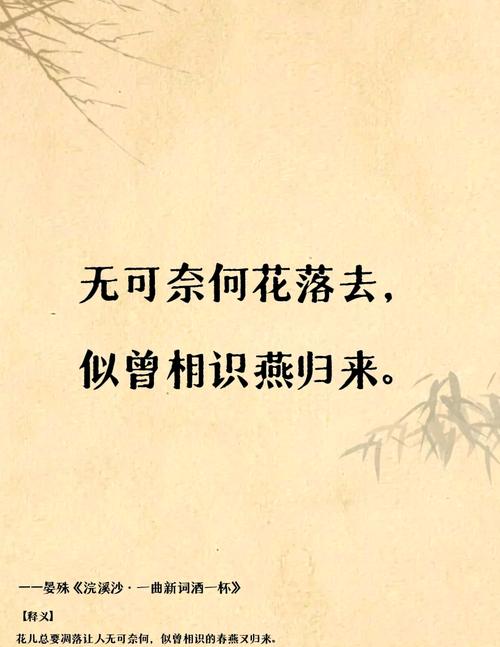 最美的相遇:众里嫣然通一顾,人间颜色如尘土 第1张 最美的相遇:众里嫣然通一顾,人间颜色如尘土 第1张