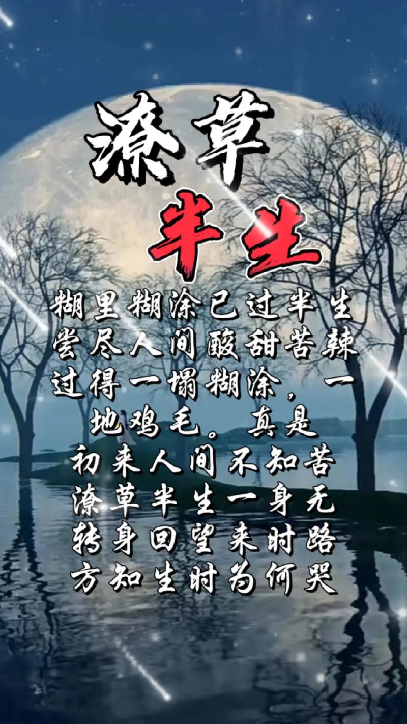 人生已过半致自己，人生已过半，致自己，珍惜当下，勇往直前  第1张