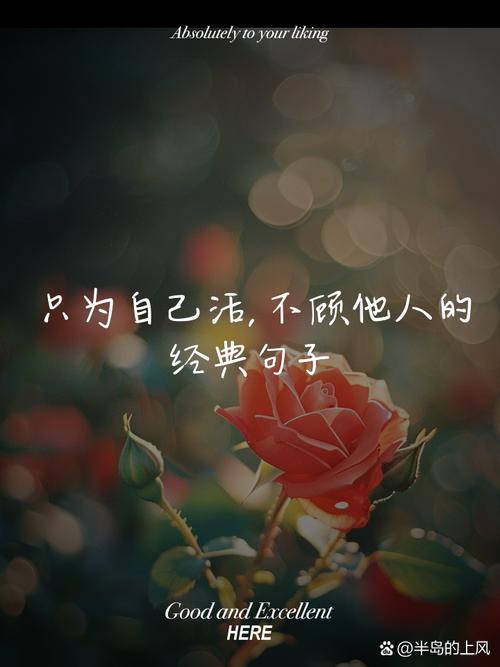 致自己最经典的句子，致自己最经典的句子，勇往直前，无畏无惧。  第1张