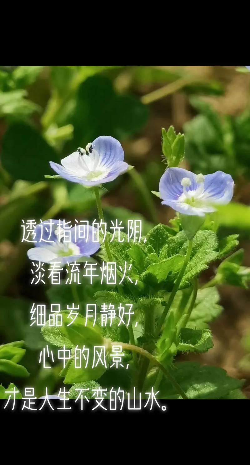 留一份永恒静好的岁月 第1张 留一份永恒静好的岁月 第1张