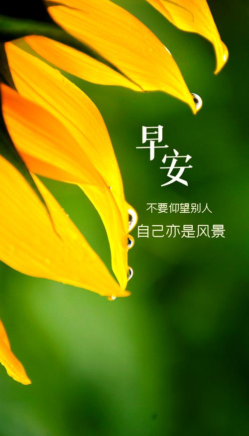 早安正能量简单一句话,早安正能量简语,开启美好一天的温暖问候 第1张 早安正能量简单一句话,早安正能量简语,开启美好一天的温暖问候 第1张