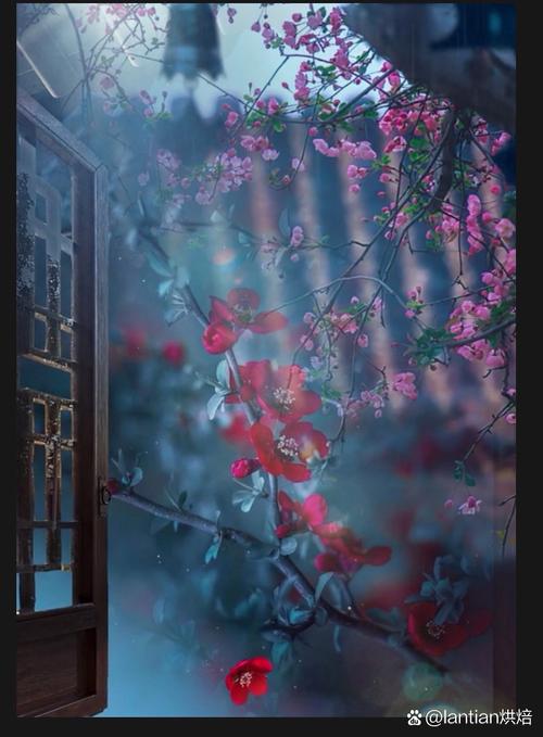 开心灵之窗，观人生美景  第1张