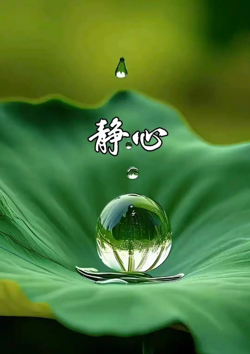怀揣一颗美好的心灵  第1张