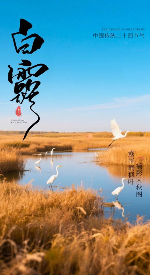 今有秋意 第1张 今有秋意 第1张