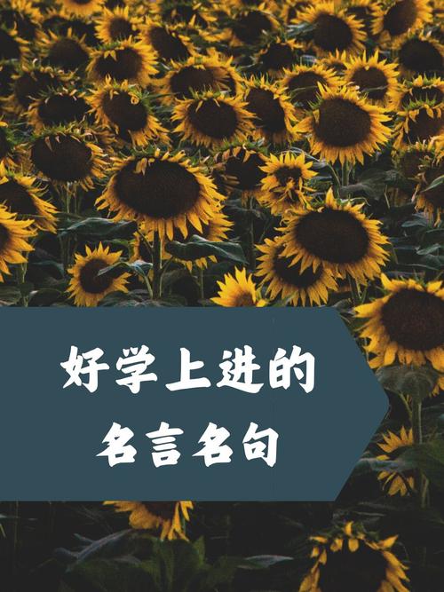 好学上进的名言名句,好学上进,砥砺前行的名言警句 第1张 好学上进的名言名句,好学上进,砥砺前行的名言警句 第1张