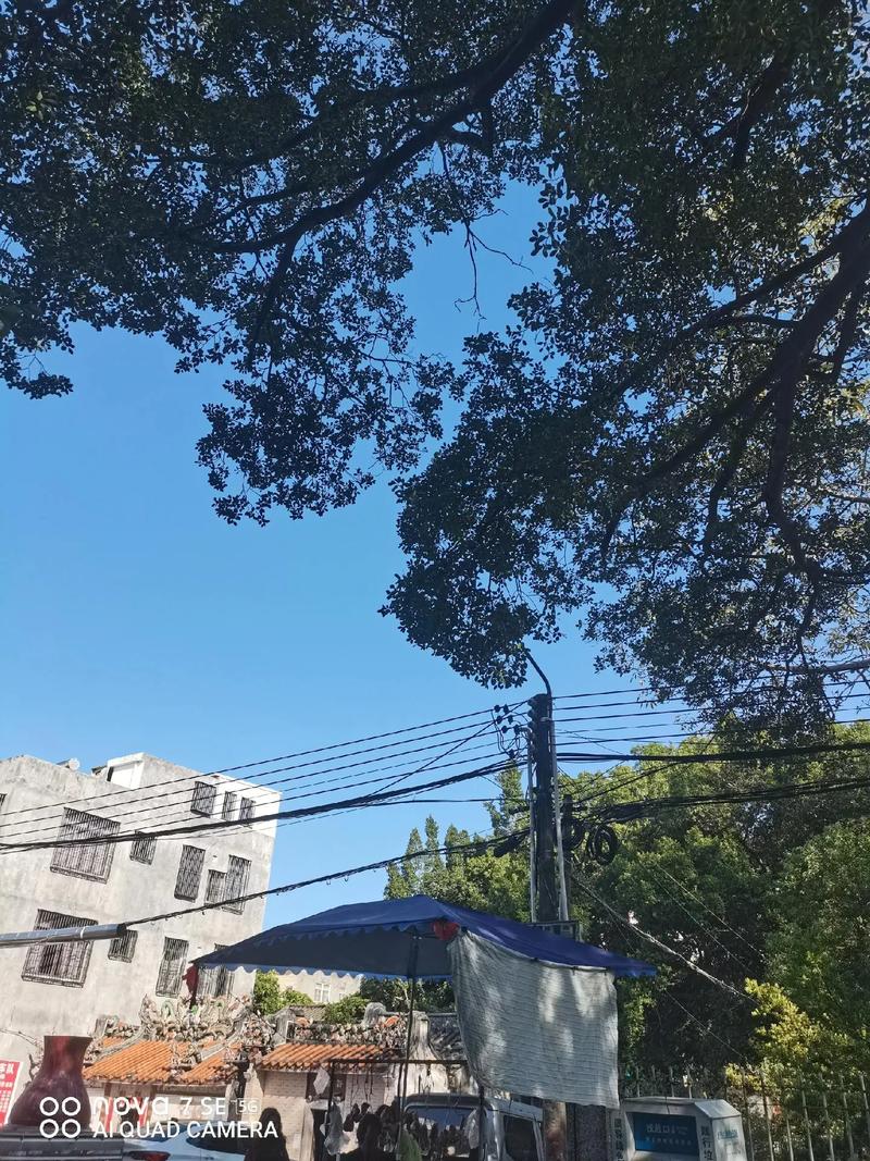 南国的冬  第1张