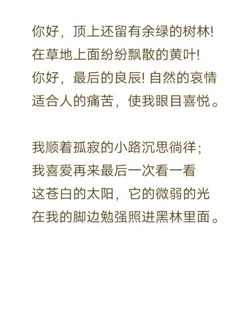念你，在迟来的秋  第1张