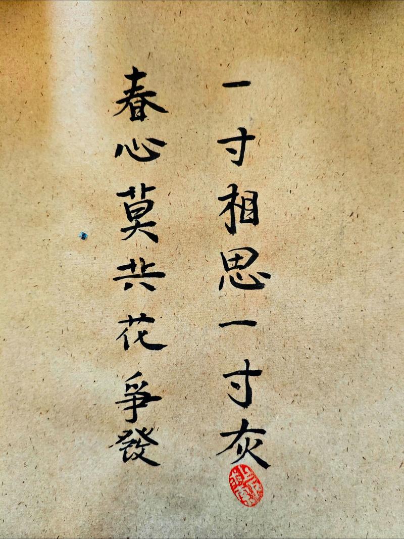 春少何须寂静苦 第1张 春少何须寂静苦 第1张