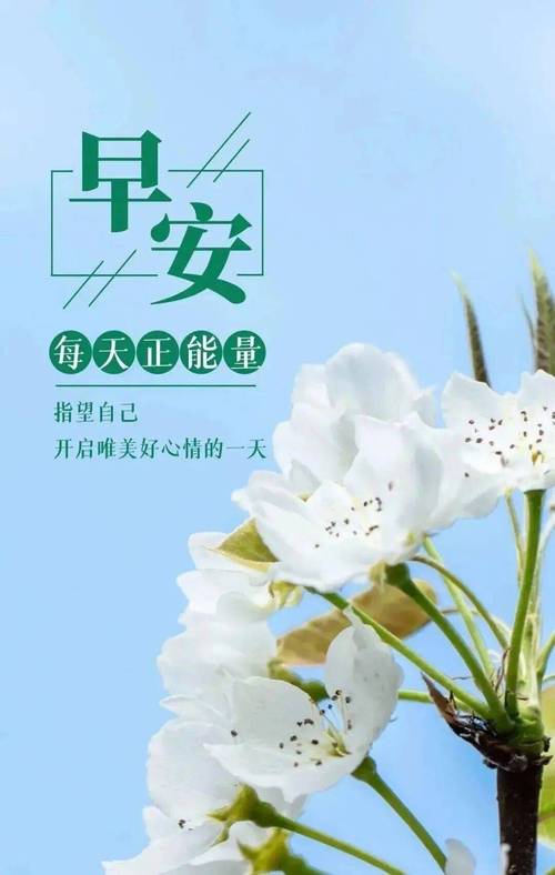 一天一句正能量简短16个字,每日正能量短句,积极向上,生活充满阳光。 第1张 一天一句正能量简短16个字,每日正能量短句,积极向上,生活充满阳光。 第1张