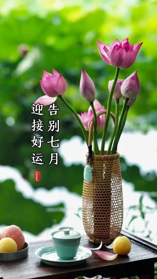 告别七月,迎接八月的唯美文案 第1张 告别七月,迎接八月的唯美文案 第1张