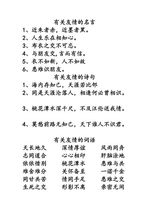 关于友情的名言名句，友情的珍贵与力量，名言名句中的友情之道  第1张