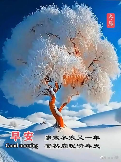 冬日向暖  第1张