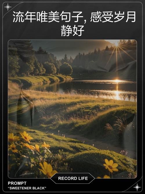 岁月如斯静好  第1张