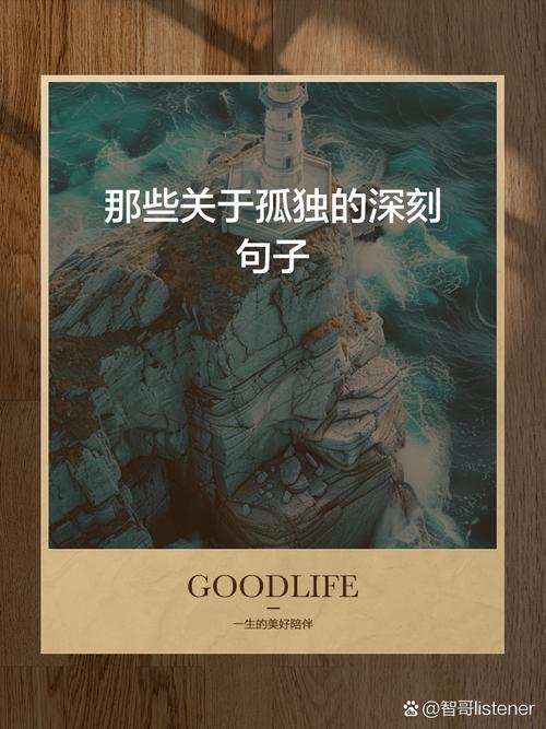 孤独的意义  第1张