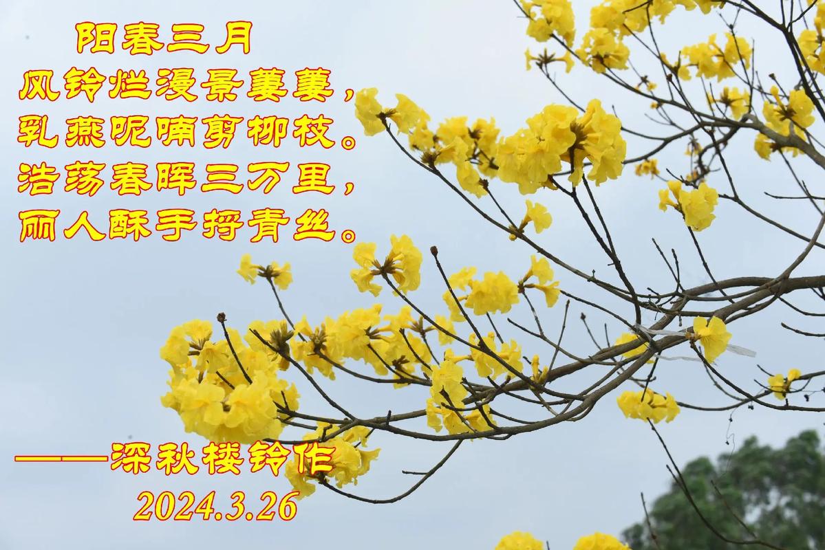 阳春三月 第1张 阳春三月 第1张