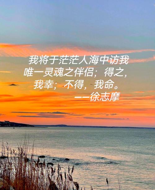 情人节语录浪漫简短,情人节浪漫简短语录 第1张 情人节语录浪漫简短,情人节浪漫简短语录 第1张