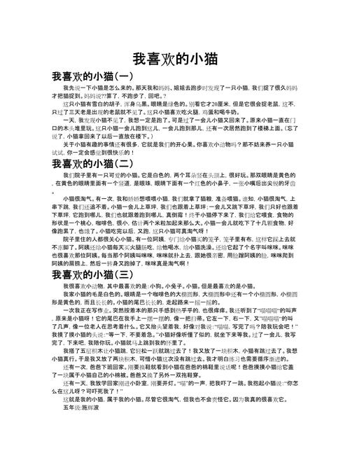 难忘的一只猫  第1张