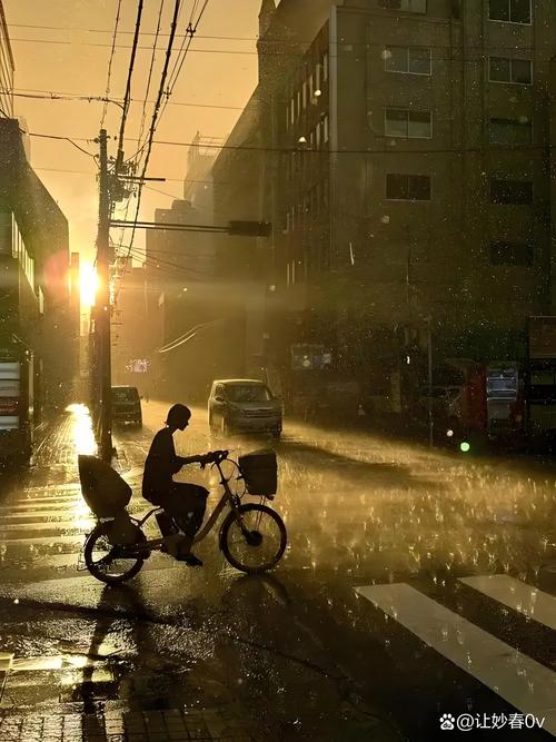 雨落，湿了晴天  第1张