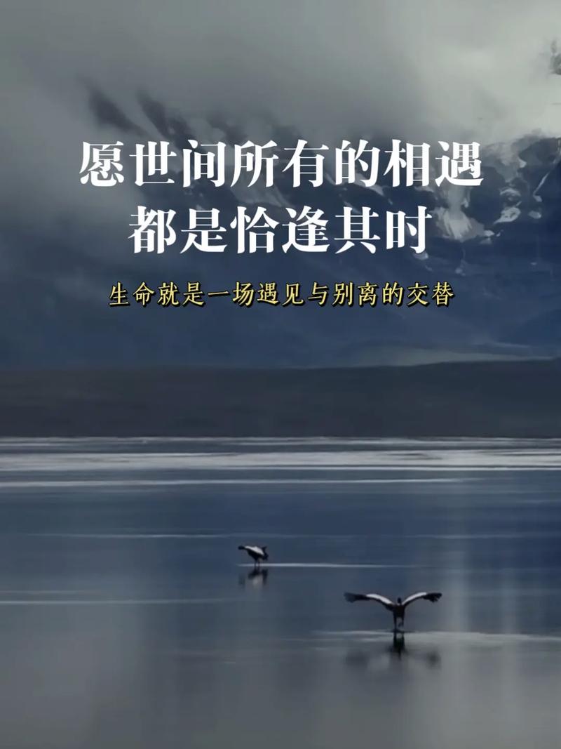 茫茫人海,每一场相遇,都是一场美丽 30条唯美到窒息情感说说 第1张 茫茫人海,每一场相遇,都是一场美丽 30条唯美到窒息情感说说 第1张